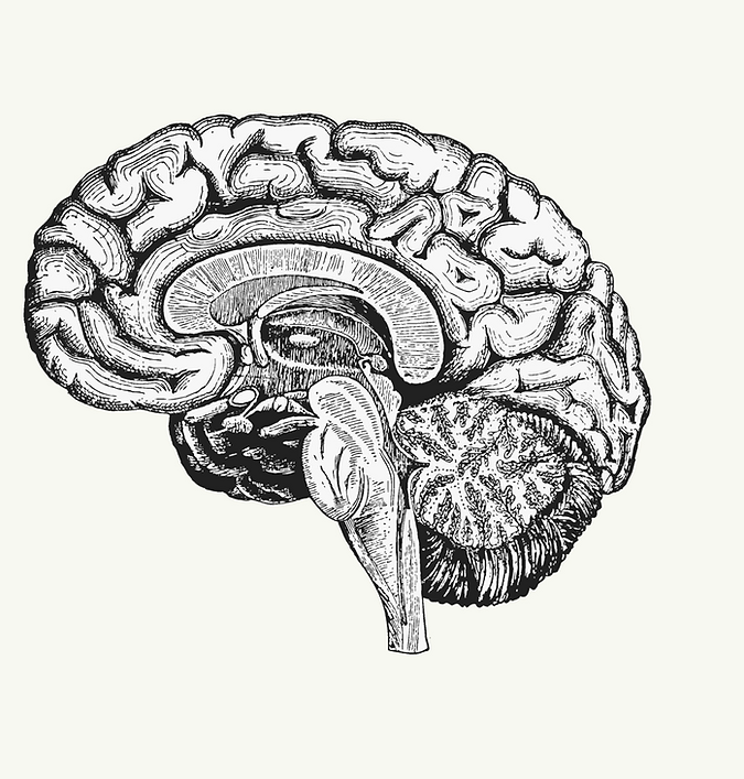 Deep Brain Reorienting (DBR)